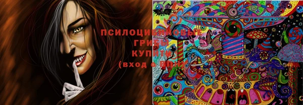 тгк Беломорск